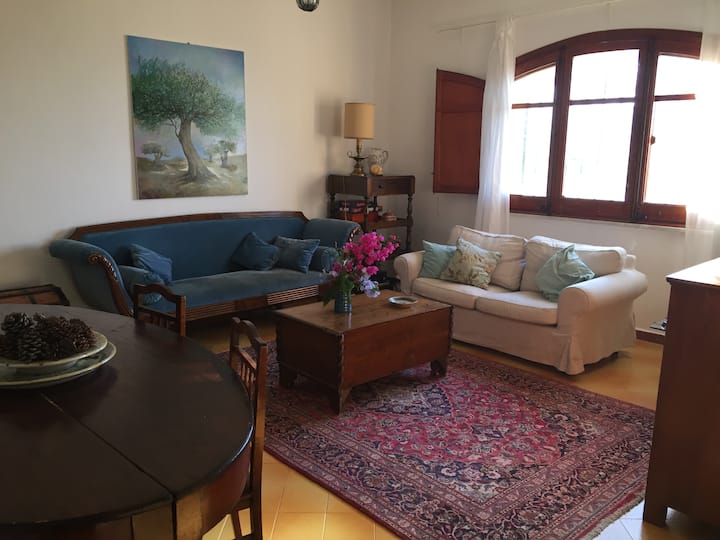 villa caesar brissago elvetia anti imbatranire