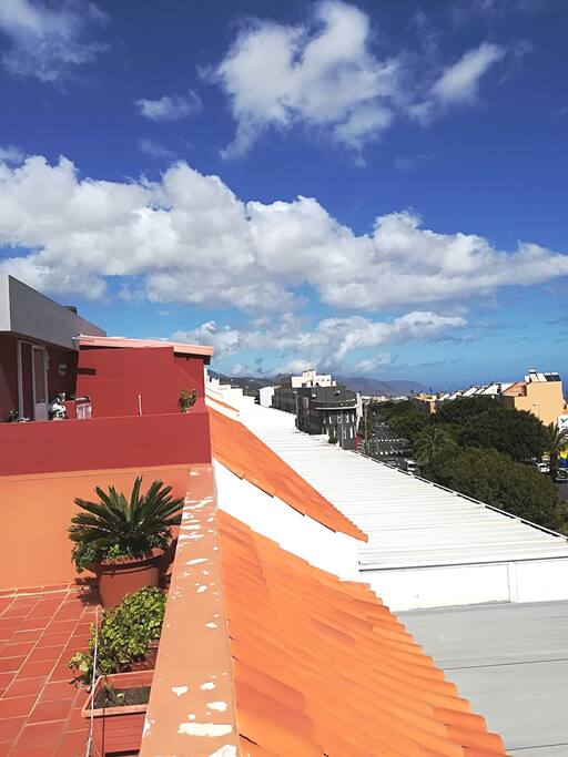 Vistas desde la azotea.