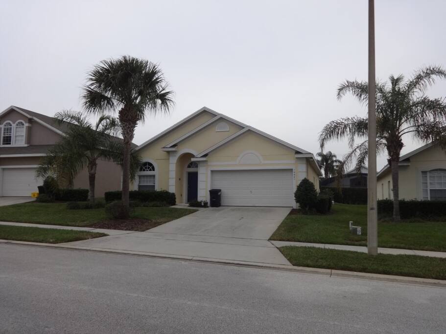 Building, Palm Tree, Tree, Downtown, Neighborhood