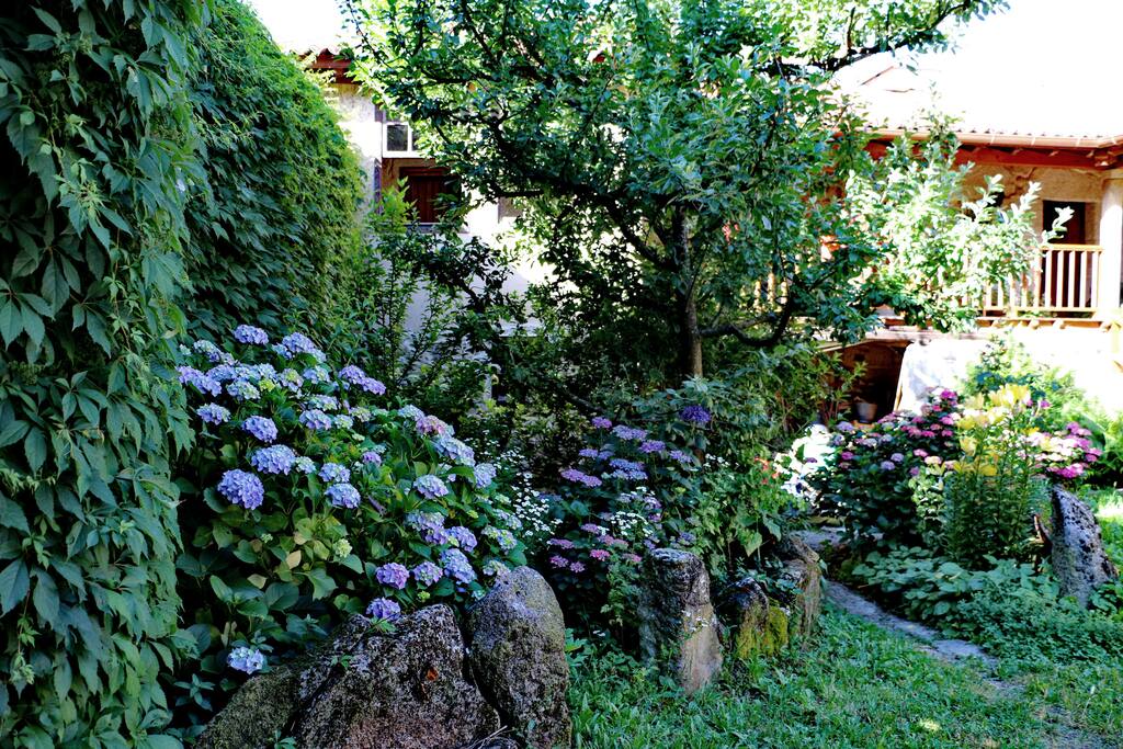 Patio interior.