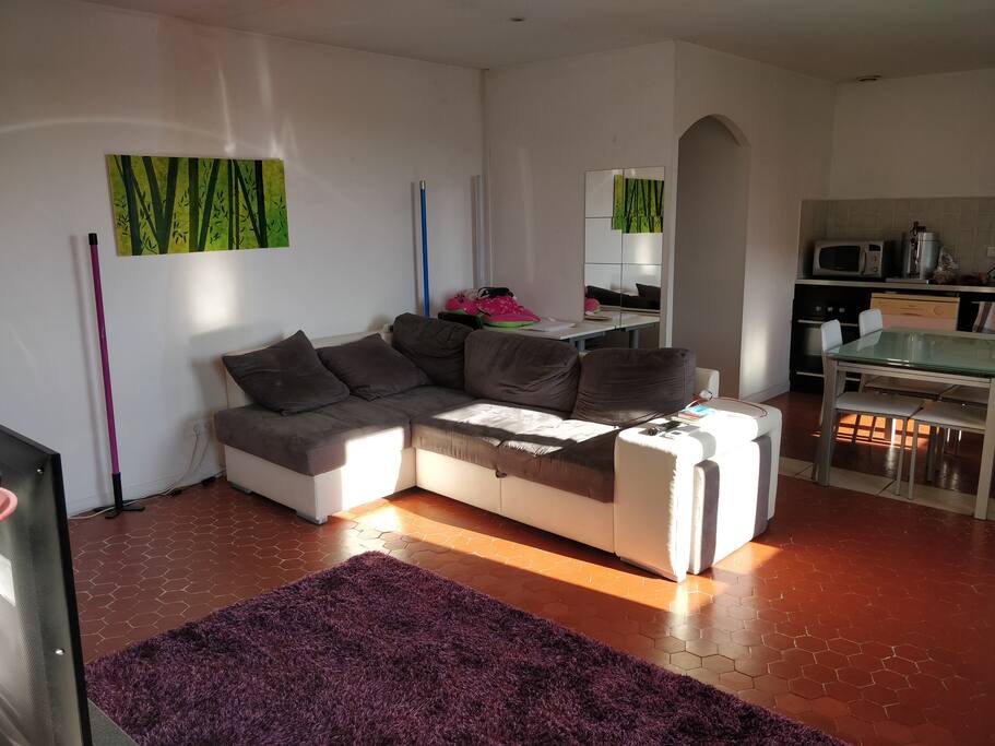 Côté salon avec le canapé en convertible (je peux fournir un matelas à mettre dessus pour ajouter du confort).