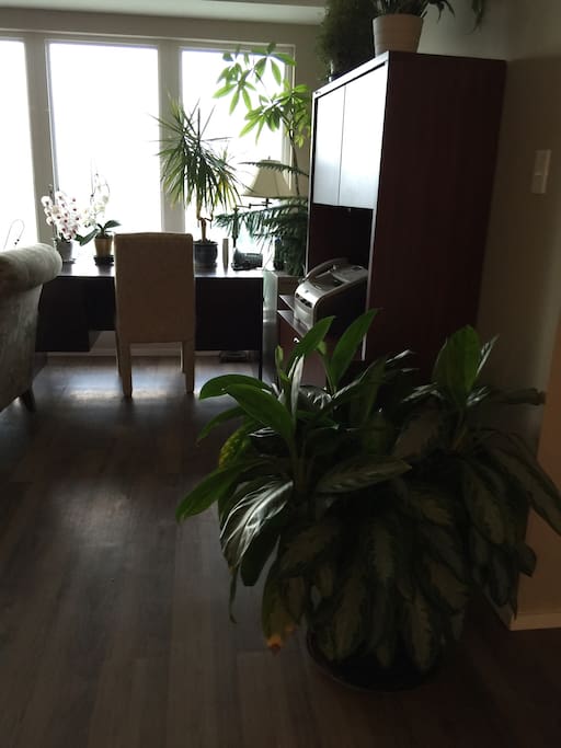 Living room with some live green