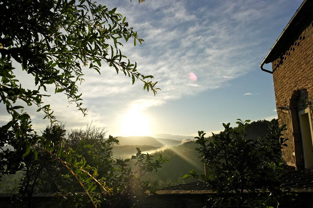 Dawn from the Property