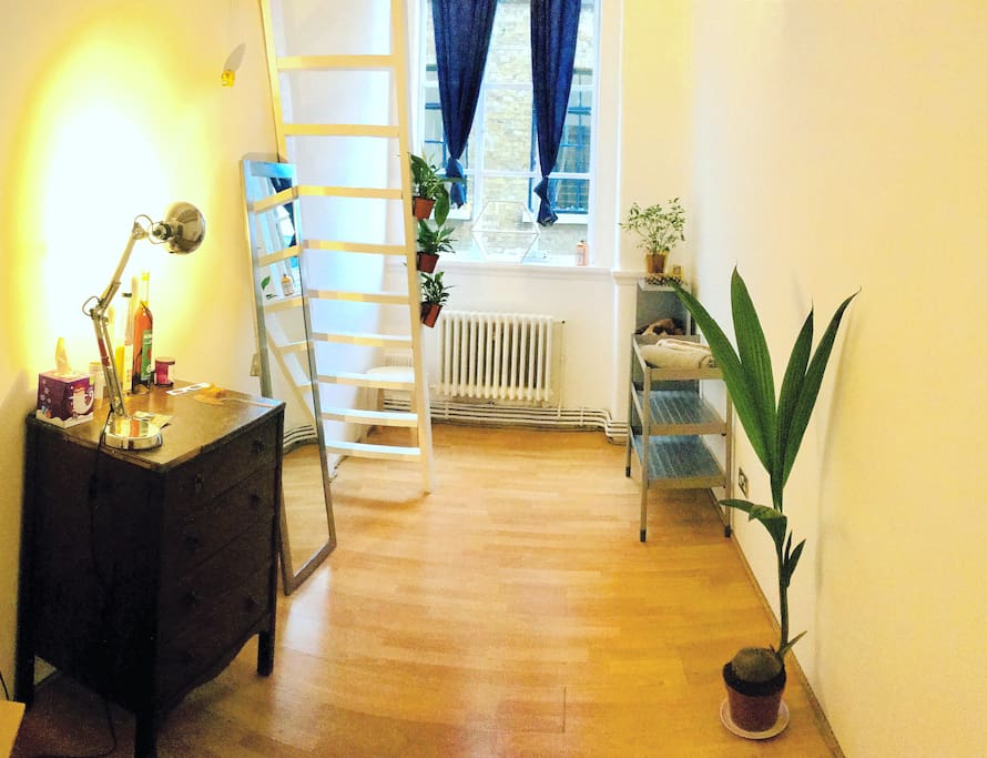The room has a character: there's a coco palm, a vintage chest of drawers, a full-size mirror and a ladder to the loft bed