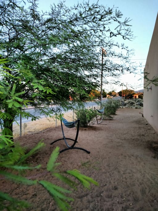 Side Yard