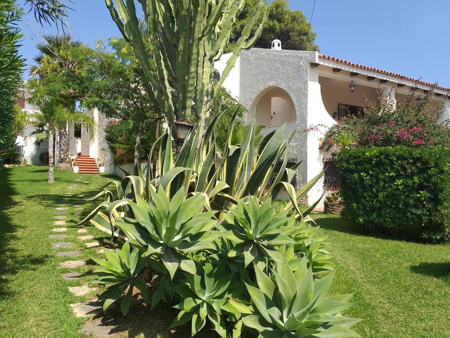 Giardino