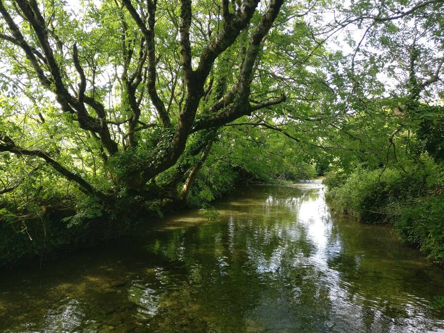 Caher River, which flows near the cottage