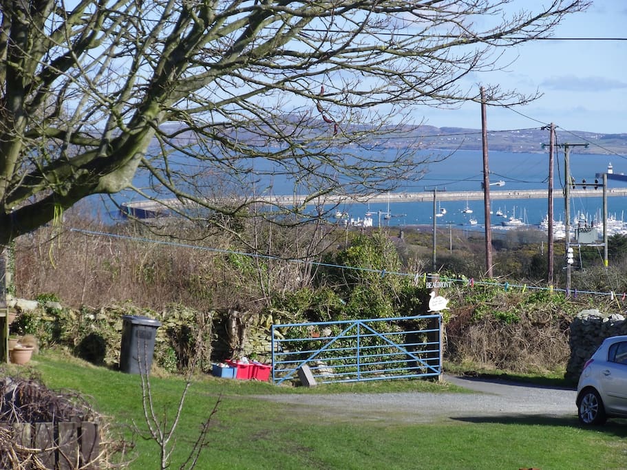 View from Rear Gate