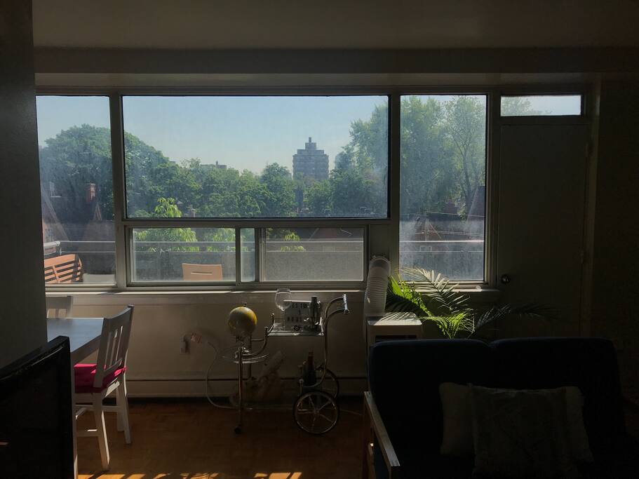 Beautiful view of the lovely Annex! This is as close to the heart of Toronto you can be while still getting a green view outside.
Also in this photo: air conditioning unit and bar cart.