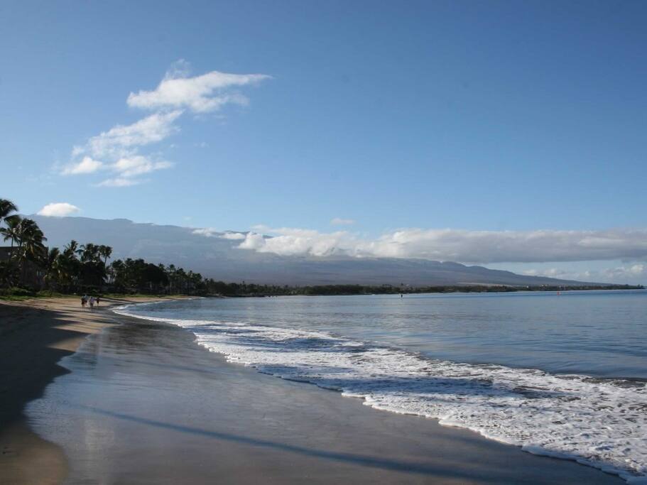 Direct oceanfront! Right Out Of a Movie!
