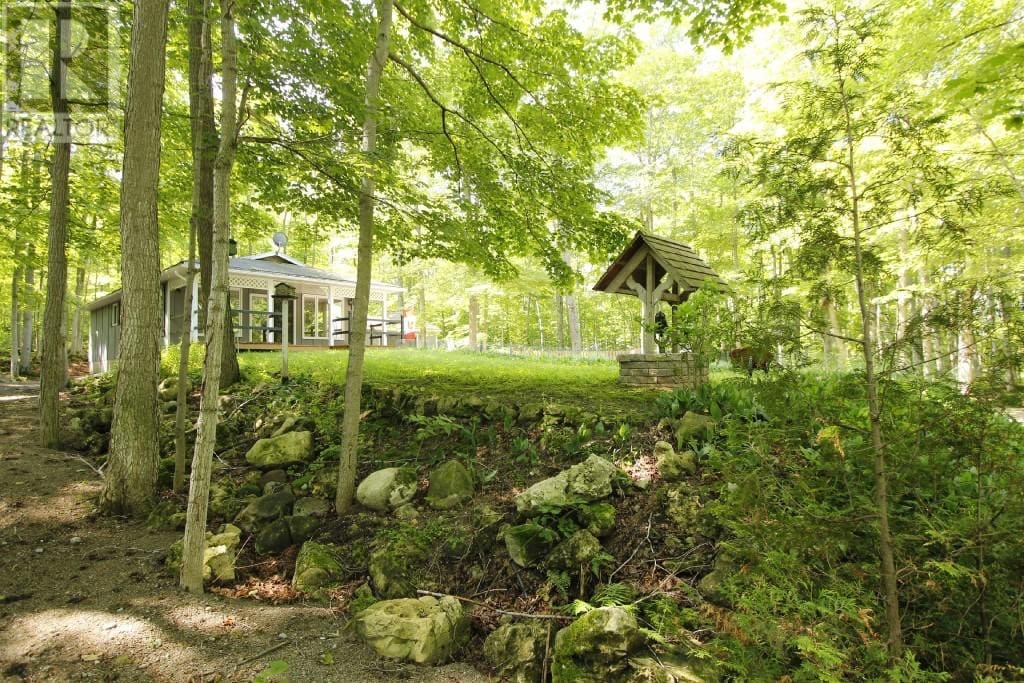 Front lawn