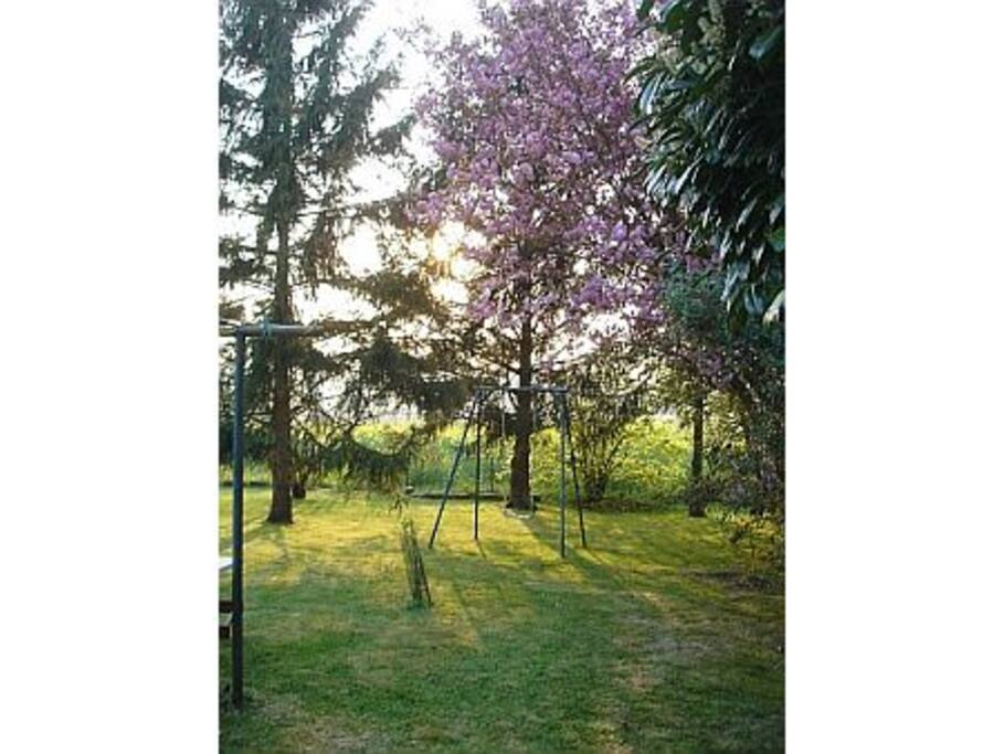 Le jardin