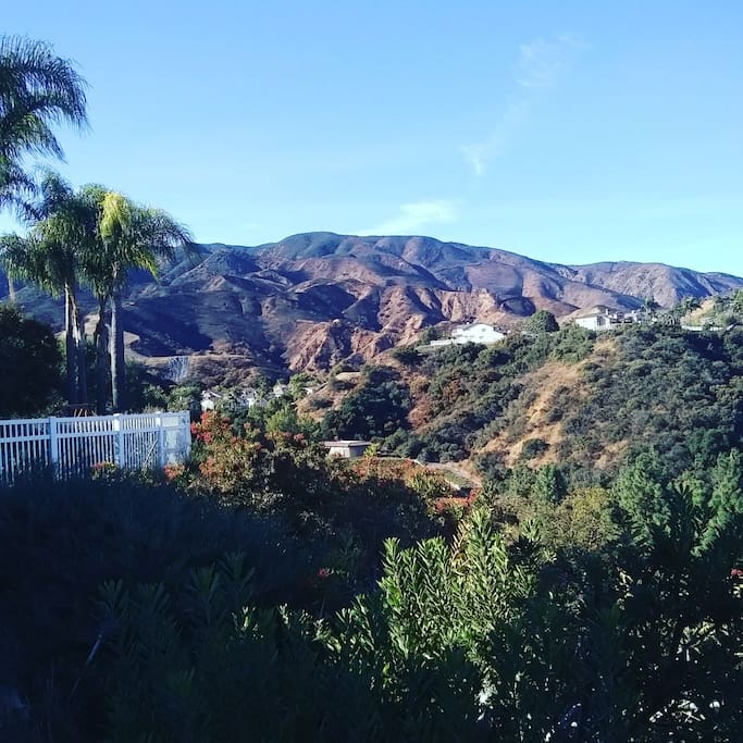 Backyard view