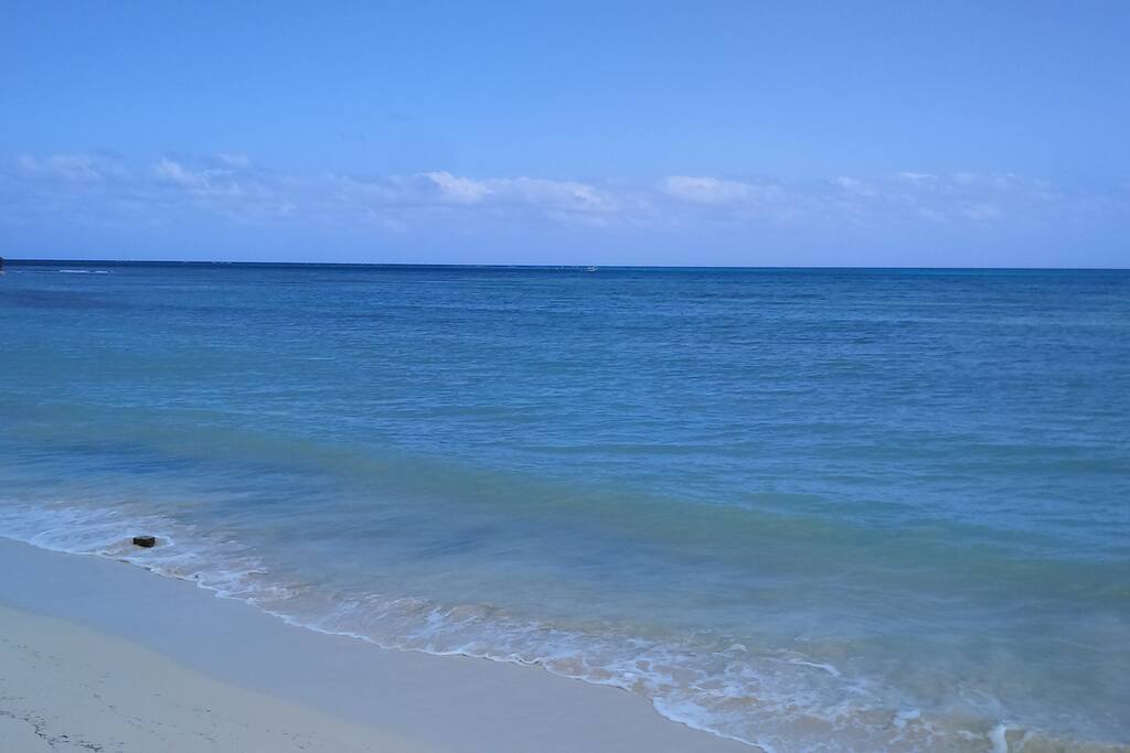 Disfruta del Color Azul del Mar