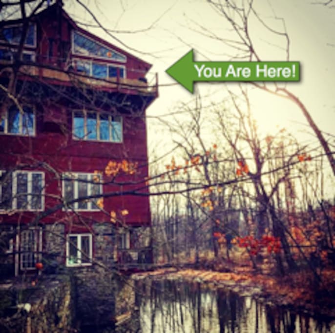 The Treehouse is the 4th floor unit.