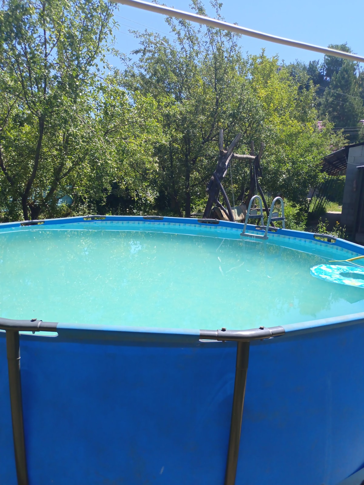 A round above-ground pool is surrounded by greenery, with sunlight reflecting off the clear water. A ladder is visible for easy access, while trees provide shade and privacy around the pool area.