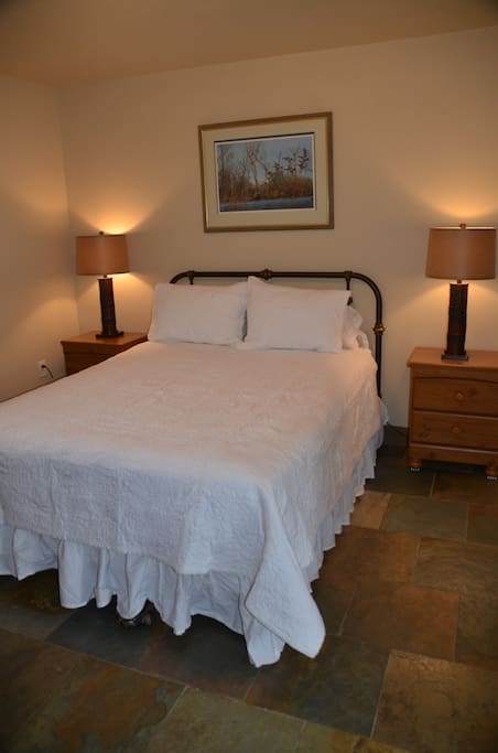 Main bedroom with queen bed