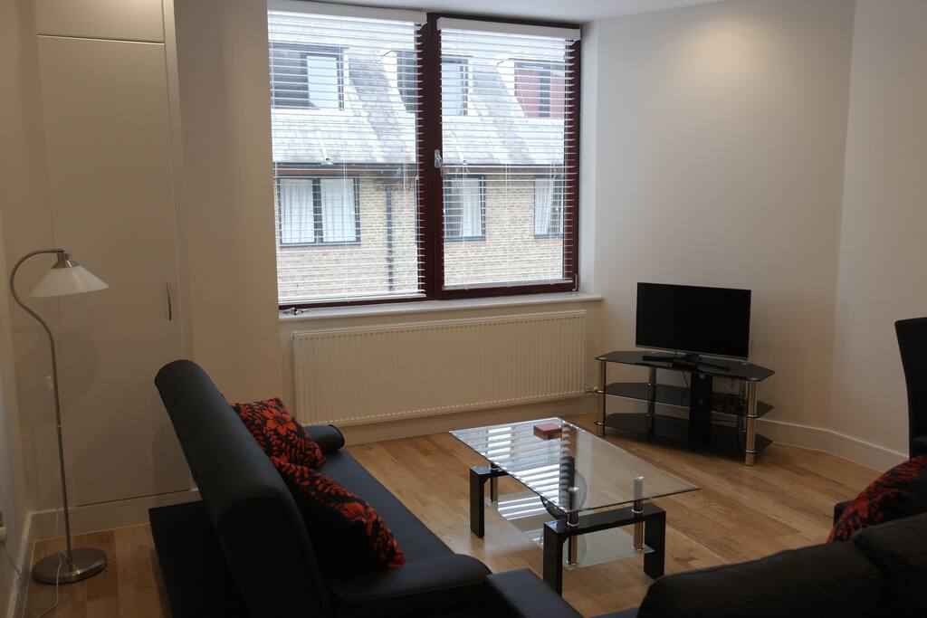 Spacious lounge with sofa bed.