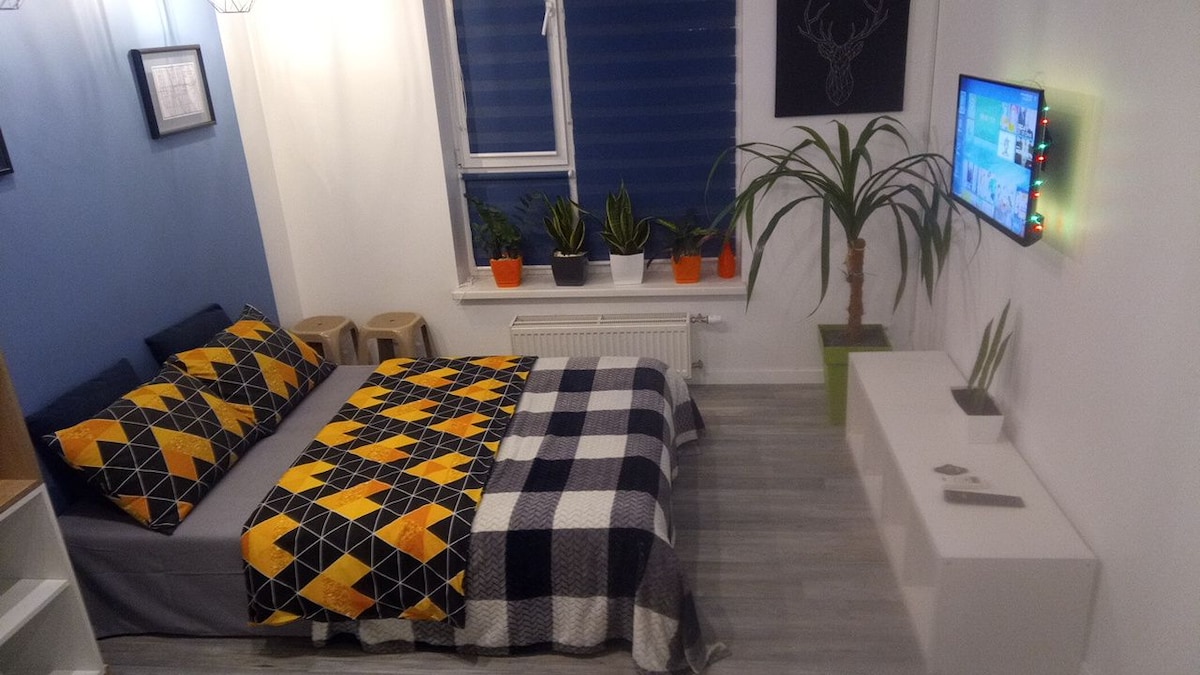 A sleeping area features a spacious bed adorned with a geometric-patterned blanket in yellow and navy. Potted plants are arranged near the window. A flat-screen TV is mounted on the wall above a minimalist white media unit, with light walls creating a bright ambiance.