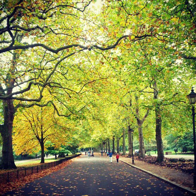 Foto van Battersea Park