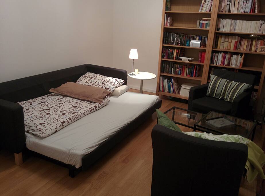 a sofa-bed for 2 people
