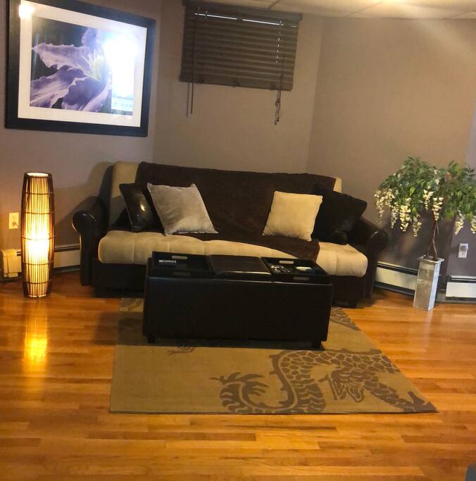 Living room with sleeper sofa, cozy lights and ottoman