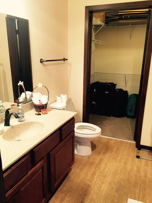 Bathroom and Closet