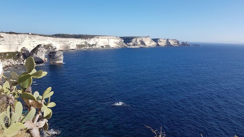 Risultati immagini per corsica bonifacio spiagge