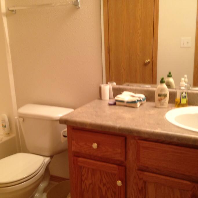 The guest bathroom by living area