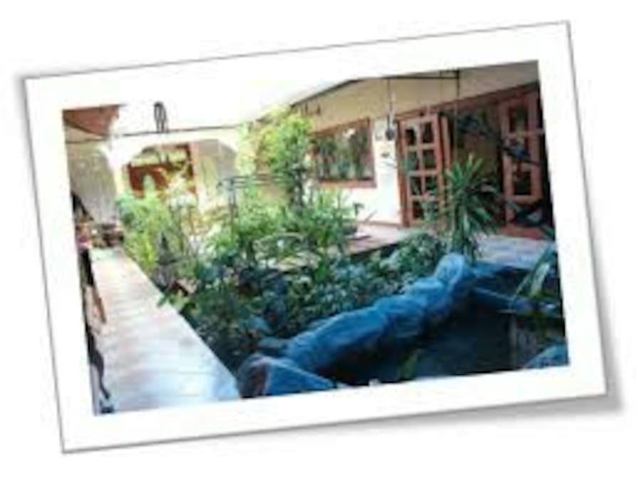 Internal garden with retractable roof & a mini fish pool with beautiful waterfall IF it rains..