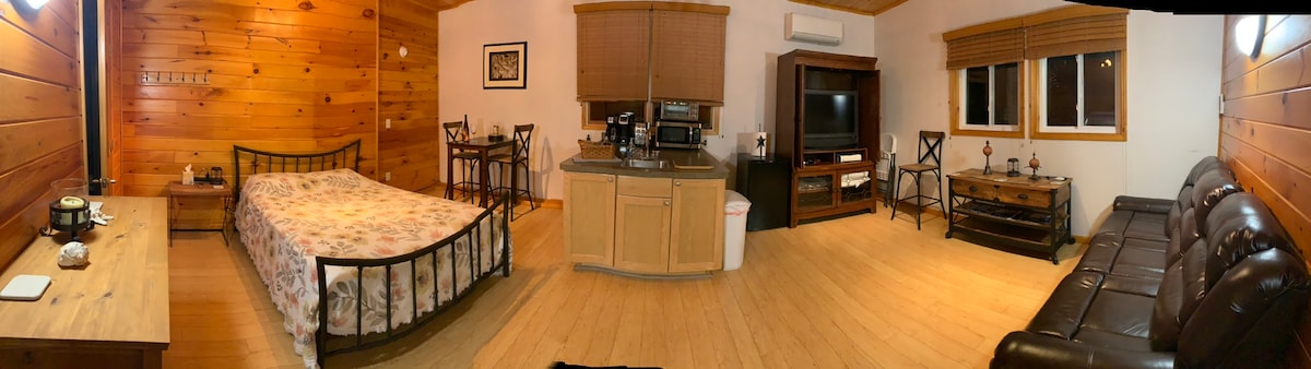 A guest suite features warm wood paneling and an open layout. A queen bed is placed beside an entertainment center with a TV and a seating area with a large sofa. A kitchenette with a high-top pub table for two is visible in the background.