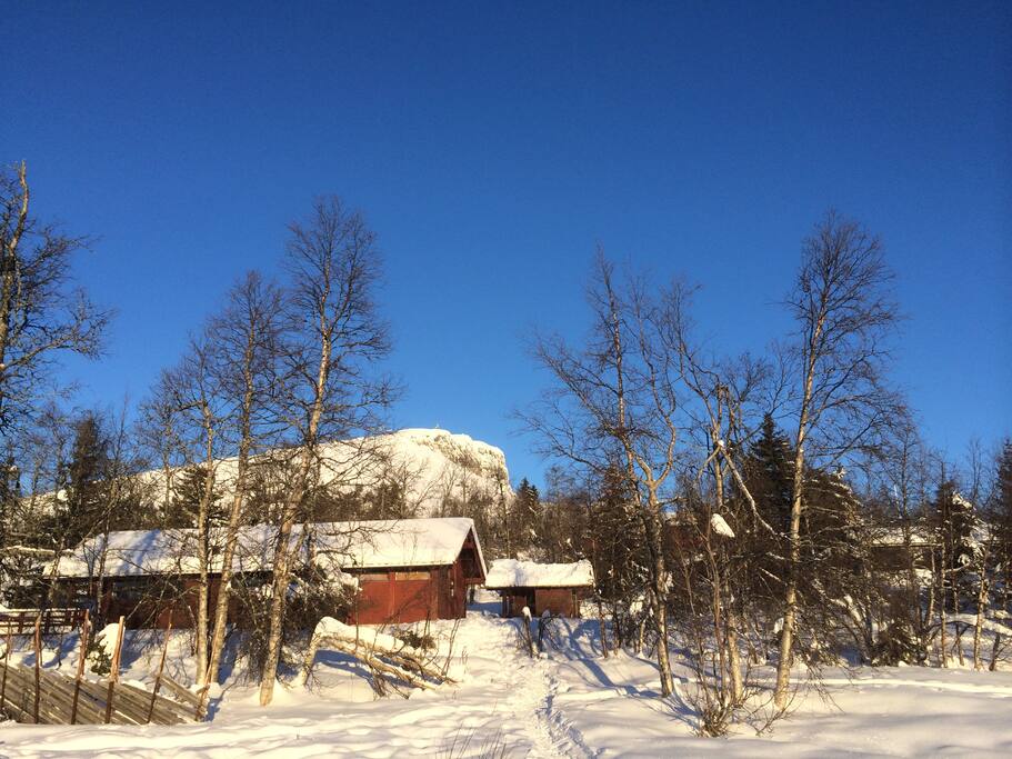 Ski-in-ski-out for barn og voksne