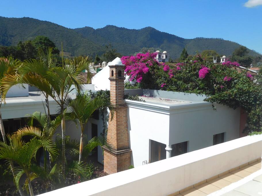 Terrace View