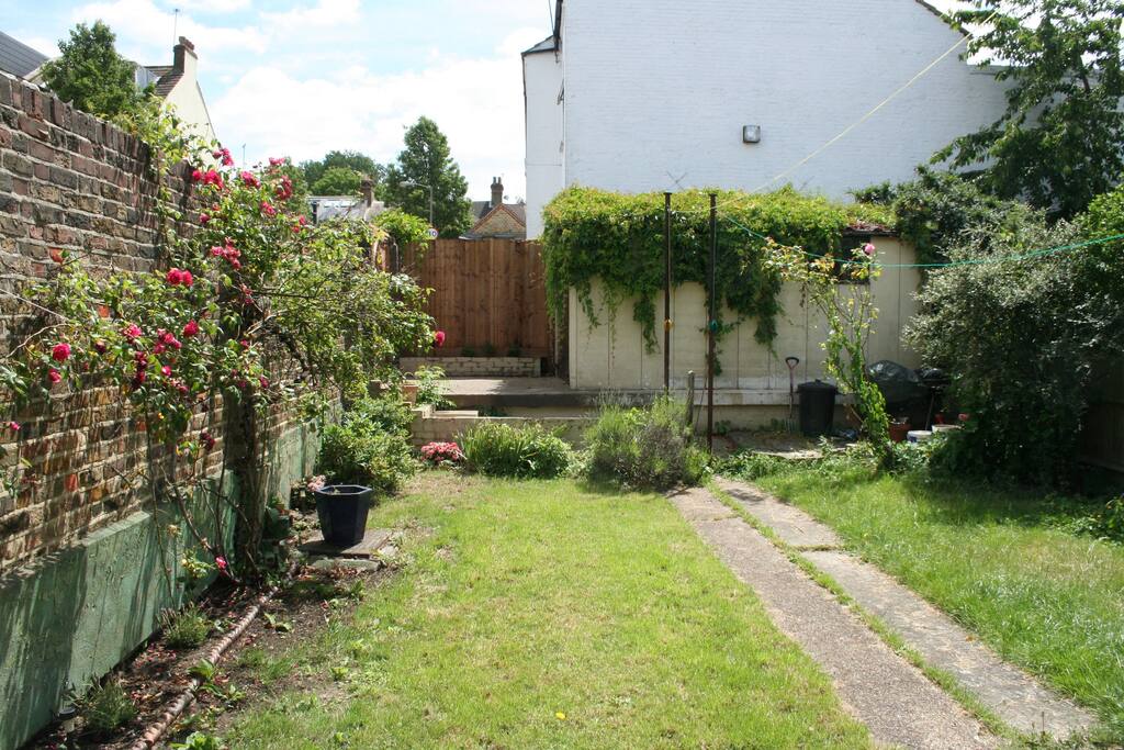 Sunny garden all day long