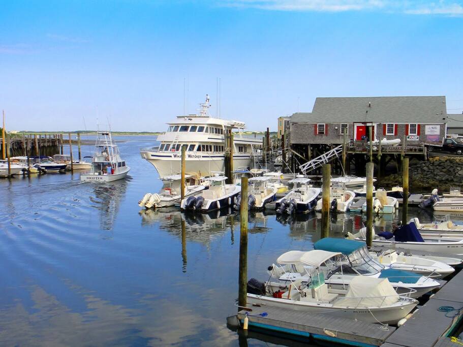 Barnstable Harbor