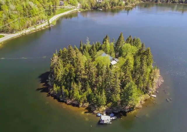 An aerial view showcases a private island surrounded by a calm lake, with lush greenery covering the island. A forested area encircles a rustic chalet, and a private dock is visible at the water’s edge, providing access to recreational activities.