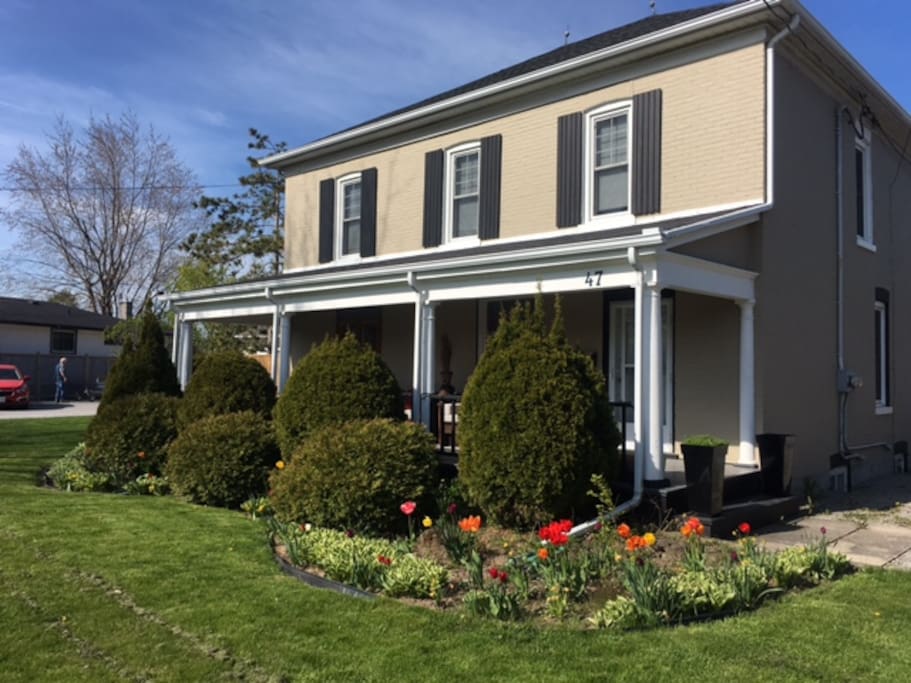 The tulips are in bloom!