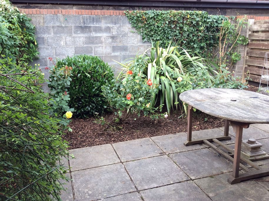 Bijou rear garden,