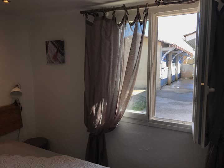 Თავლების ხედი 