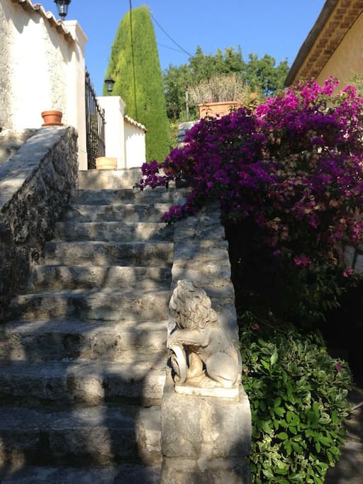 staircase main entrance to garden