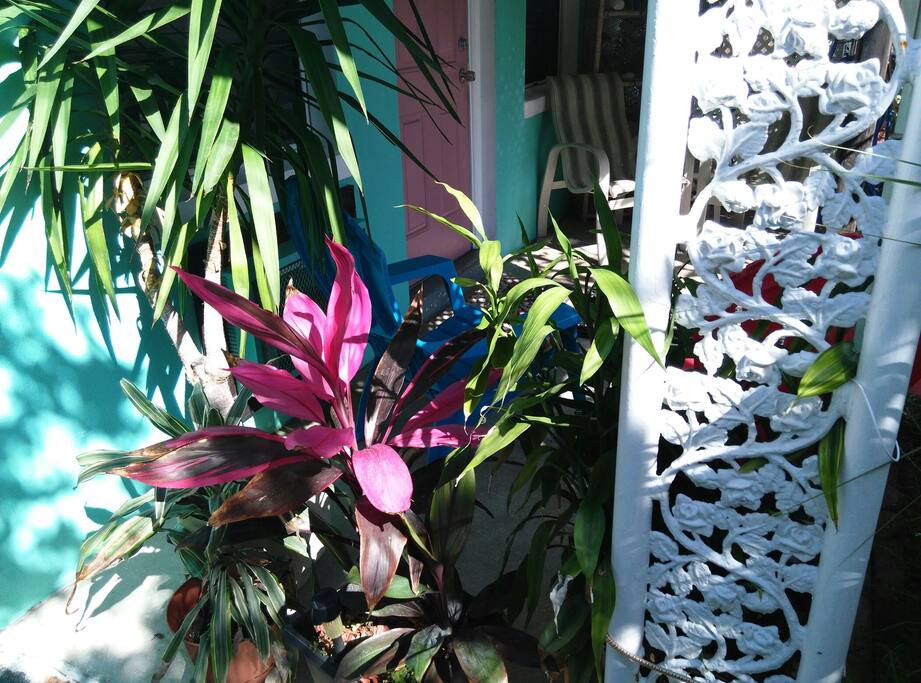 Colorful tropicals surround your sitting area.