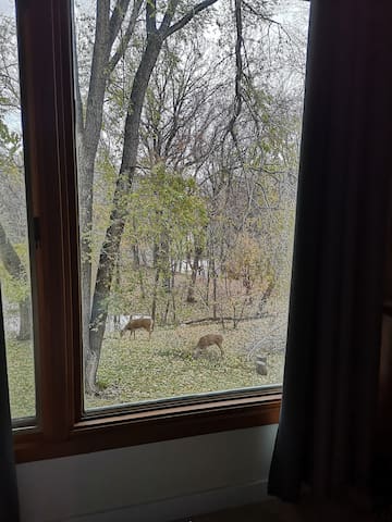 Escape the chaos, stunning green space