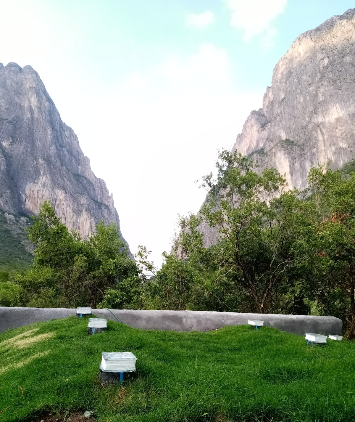 A scenic view of steep, rocky mountains flanks either side of a lush, green area. Small garden boxes are arranged on a grassy slope, surrounded by trees, creating a serene atmosphere in the canyon landscape.