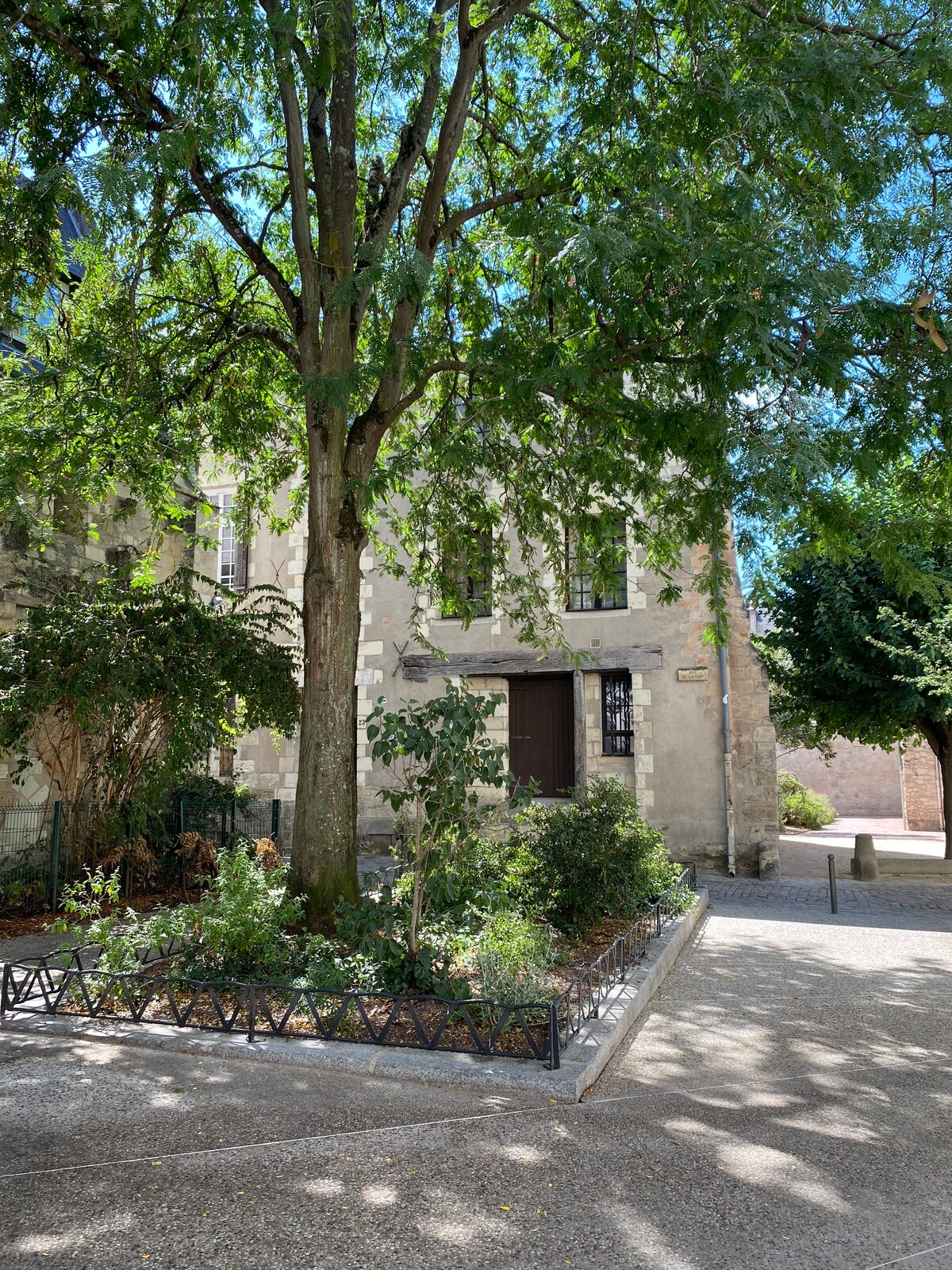 A historic building features a charming entrance surrounded by greenery. A large tree provides shade overhead, while neatly trimmed bushes and flower beds enhance the outdoor space. Sunlight filters through the leaves, creating dappled patterns on the gravel pathway.