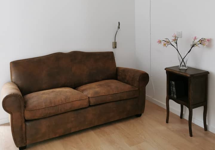 חדר אורחים עם ספה נפתחת שאפשר לקפל ל -1.5 גברים.