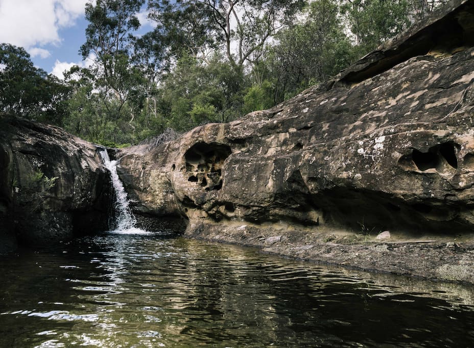 Back Creek and Waterfall on our 180 acre property