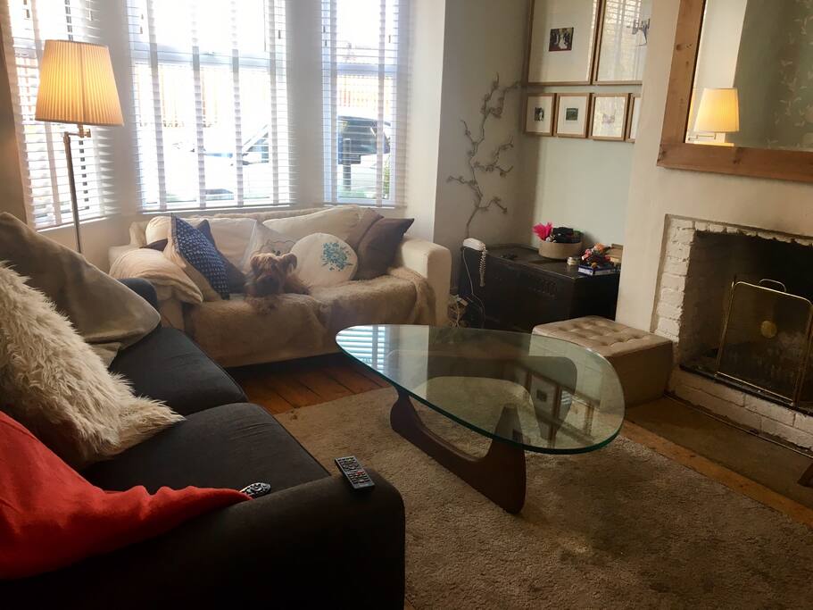 Large lounge, dog not included (please feel free to bring your own) to relax in. Open fire should it get chilly!