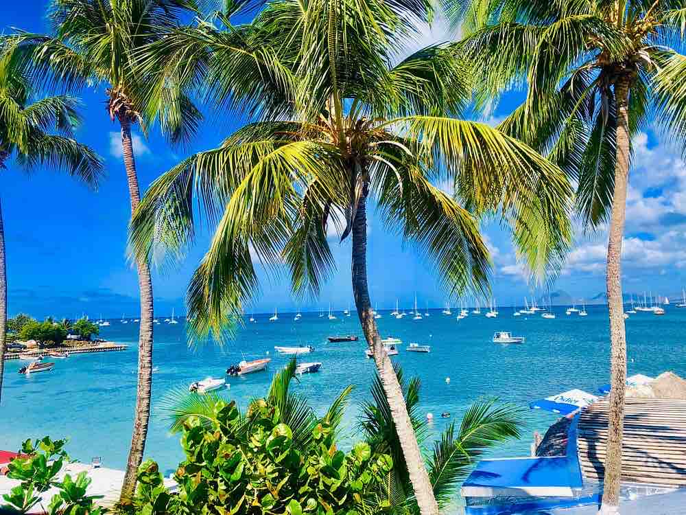Palm trees frame a stunning view of a turquoise bay dotted with sailboats. The clear blue sky enhances the tranquil atmosphere, while lush greenery contrasts with the vibrant water.