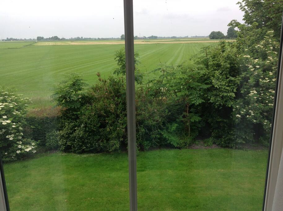 Peacefull view from the window