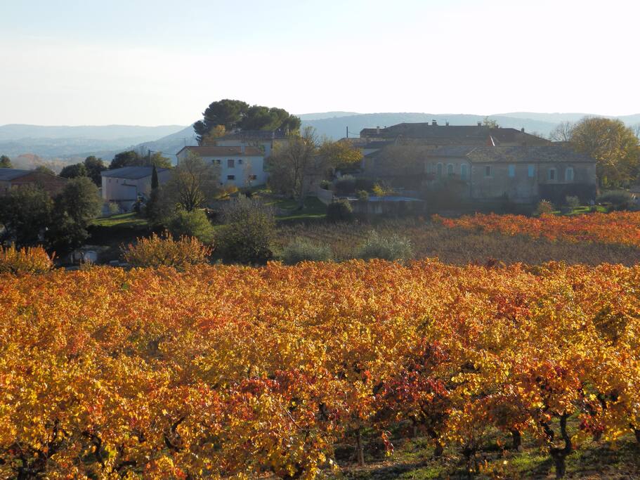 Notre hameau